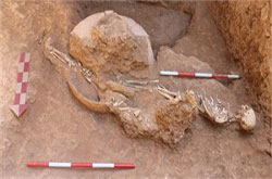کشف آثار خشتی دوره ساسانی و گورستان دوره اسلامی در تپه نماز