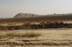 آیا پژوهشکده باستان‌شناسی در خوزستان نادیده گرفته می‌شود؟