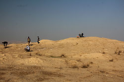 شناسایی ۴۲تپه و محوطه باستانی در جنوب کرمان