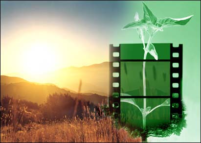 بزودی شورای طراحی راهبرد اجرایی در جهت ارتقای نقش سینما، کار خود را آغاز خواهد کرد