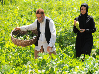 بهمن اردلان «سيب و سلما» را صداگذاري مي‌كند 