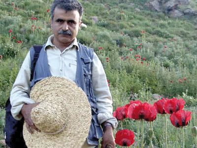 آثار احمد نادعلیان در کره جنوبی به نمایش در می‌آید 