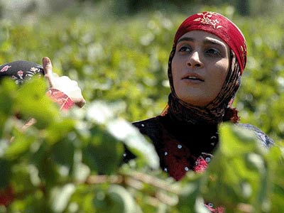 "سنگ اول" و "پای پیاده" در هند به نمایش در می‌آید 