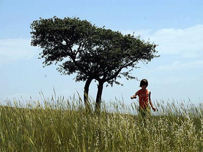 "صدای سکوت" به مراحل پایانی رسید