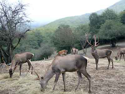 ارسال پرونده ثبت جهانی ژئو پارک ارس به سازمان یونسکو