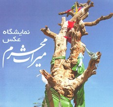 نمايشگاه عکس مستند ميراث محرم در موزه هنر امام علي(ع)
