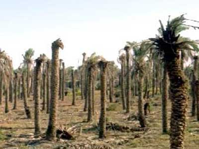 بازسازی ابنیه جنگ زده گردشگری جنگ را رونق می‌دهد 