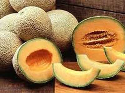 جشنواره طالبی در ورامین  برگزار می شود