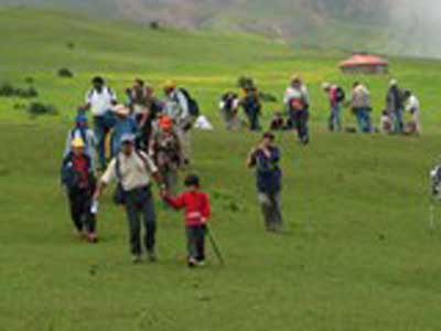 بسیاری از موسسات الفبای گردشگری را هم نمی شناسند