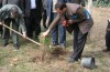 « دوازده یادمان » در روز درختکاری