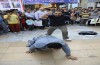 حضور پررنگ علاقمندان در نوزدهمین جشنواره مطبوعات