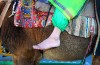 حرکت کاروان نمادین اسرای کربلا