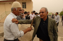 پرستویی: وظیف ما تنها مقابل دوربین رفتن نیست پرستویی: وظیف ما تنها مقابل دوربین رفتن نیست