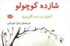 شازده کوچولوی جدید وارد بازار شد