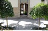 موزه مقدم به روایت تصویر
