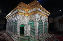 روایت همراهی با ضریح امام حسین در یک کتاب