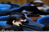 مراسم رونمایی از تقریظ رهبر معظم انقلاب اسلامی بر کتاب لشکر خوبان