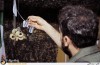 چهارمین نمایشگاه ملی کتاب دفاع مقدس