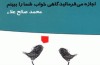 اجازه می‌دهید گاهی خواب شما را ببینم؟