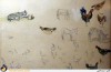 مراسم رونمایی از کتاب و آثار جعفر پتگر