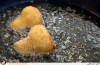 طبخ غذاهای دریایی و شرقی در هتل هما