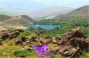 نقش خانواده ها در حفاظت از محیط زیست