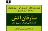 نویسنده‌هایی که دزد هستند