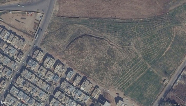 شیراز ۶۵۰۰ساله شد