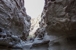 آریزونا در ایران!